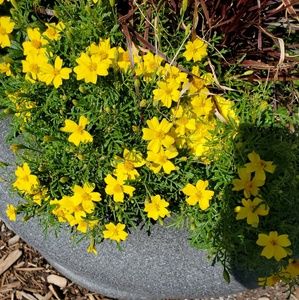 Meet your Posher, Neha